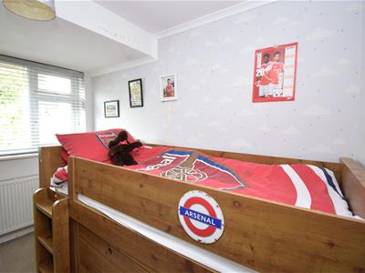 Picture 16